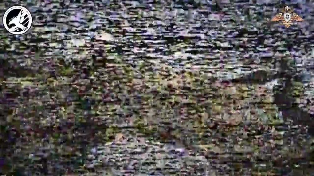 ����� �� ��������: FPV-����� �������� �� �������� ����������