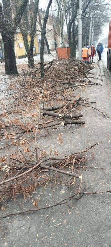 ������ ��������: ���������� ����ӻ ���������� ������ ������ � ���������� ����������� �������� � �� ��������� ������ � ����������� ������ �������