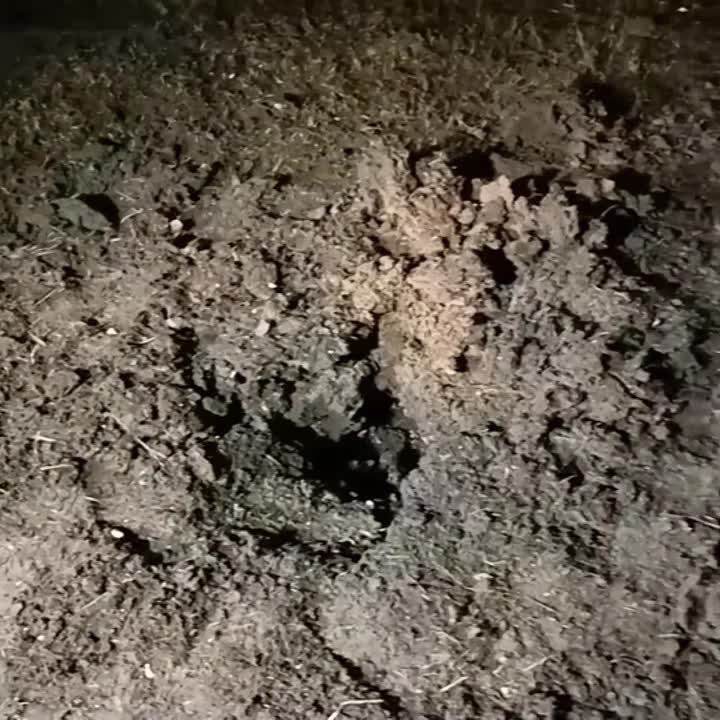 ����� ����������� �������� ��� ������������������� ������ � �������������� ���� � �������