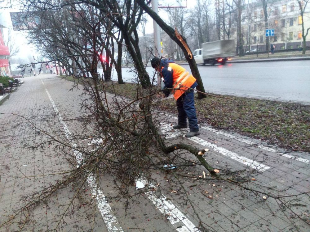 ������ ��������: ��� ��� "����" ���������� ������ ������ �� ������ ������ � ������������ � �������� ������ �������