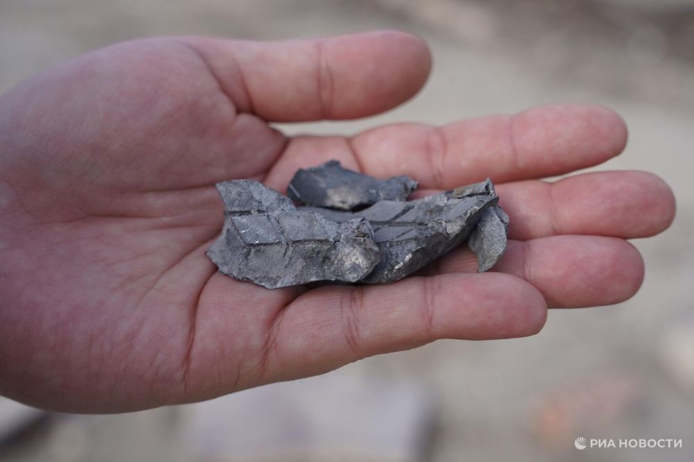 ����������������� ���: ��� ��������� �� �������� 4 ��������� ��������� �������