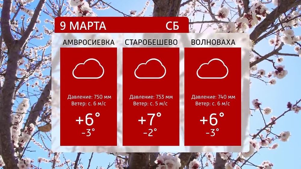 ������ �� ���������� 6�� 09.03.2024�
