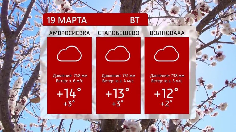 ������ �� ���������� 6�� 19.03.2024�