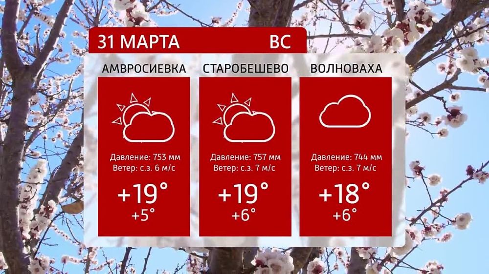 ������ �� ���������� 6�� 31.03.2024�
