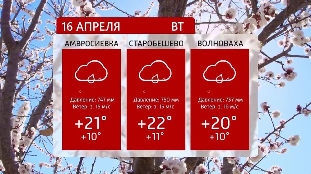 ������ �� ���������� 6�� 16.04.2024�