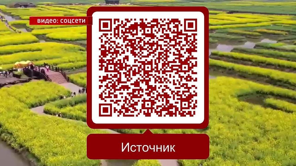 ������� �������������. 20.04.2024