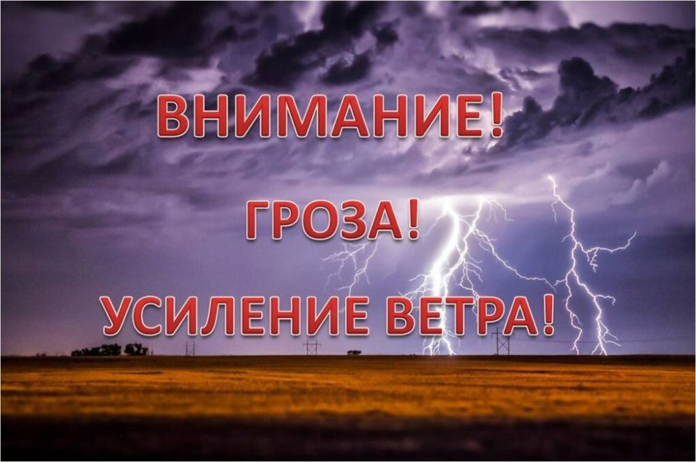 ����� �����: ��� ���: ��������� �����, ������� ������ �����