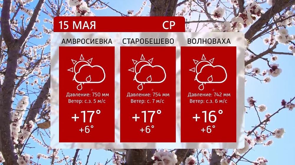 ������ �� ���������� 6�� 15.05.2024�