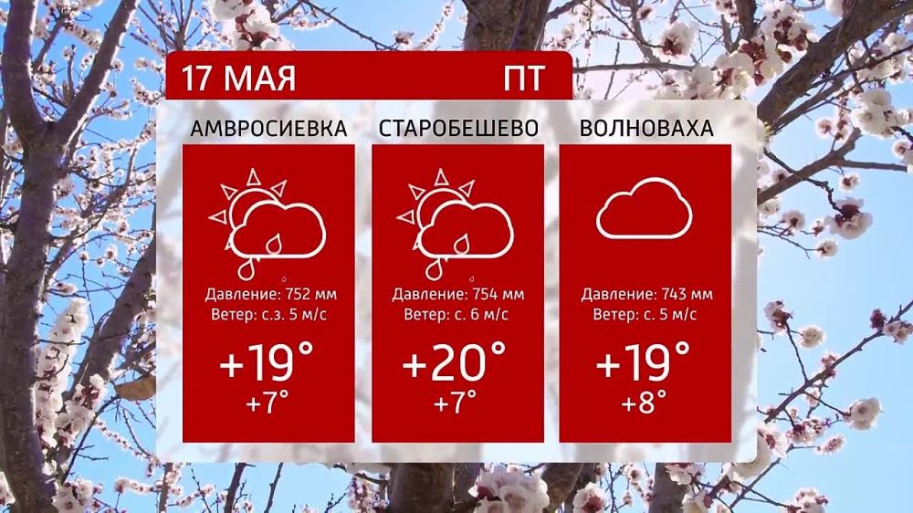 ������ �� ���������� 6�� 17.05.2024�