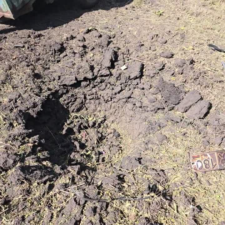 ���� ���������: � ������ ������������� ��������� ��� ���������� ��������� �������� ������ ������ ��������
