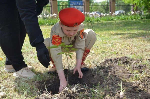 ���������� �������� �������� �������� ������� ������� � ������� ����ZOV�