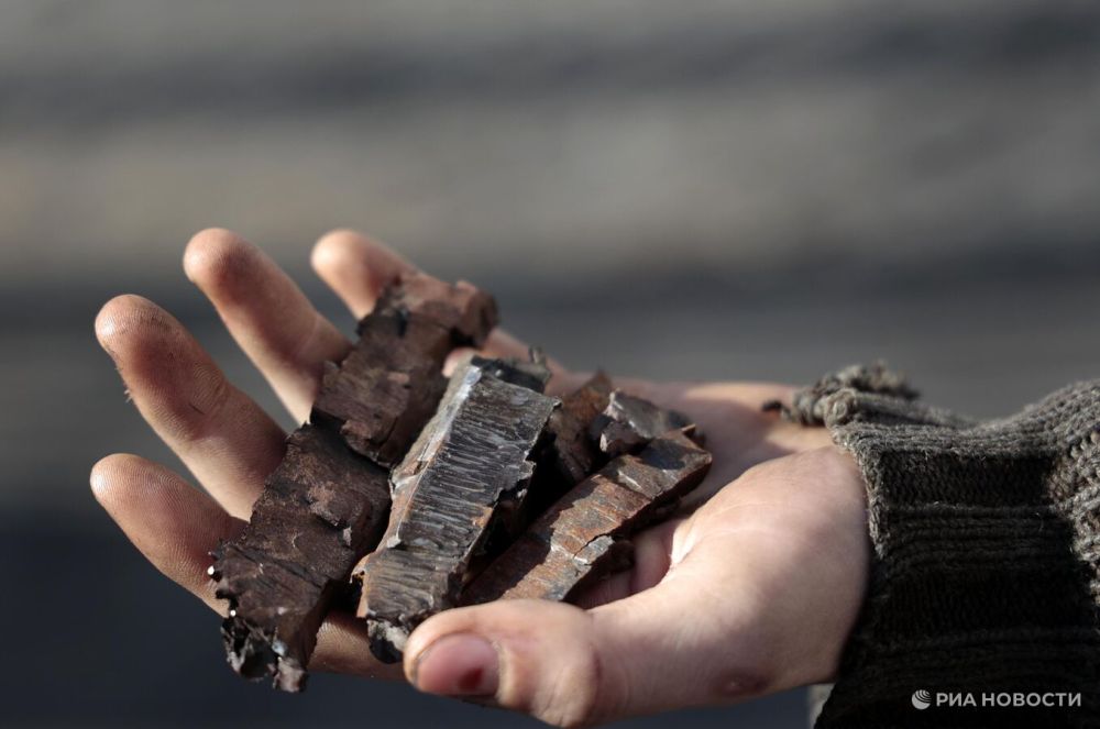 ����������������� ���: ��� ��������� 14 ��������� �������� �� ������� � ��������