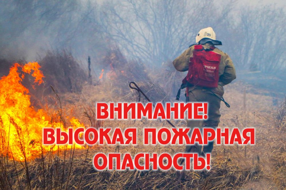 ����� �����: ���������� ��������������: ��������� ������� ��������������� (4 �����)