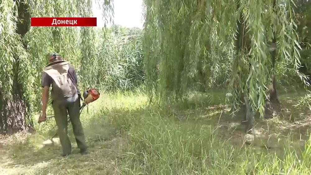 ������ � ������ � ������ ���� ���������������
