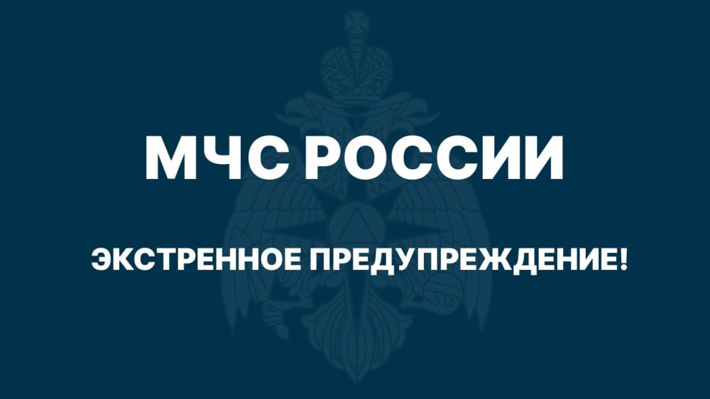 ����� �����: ��� ���: ��������� ������� ����