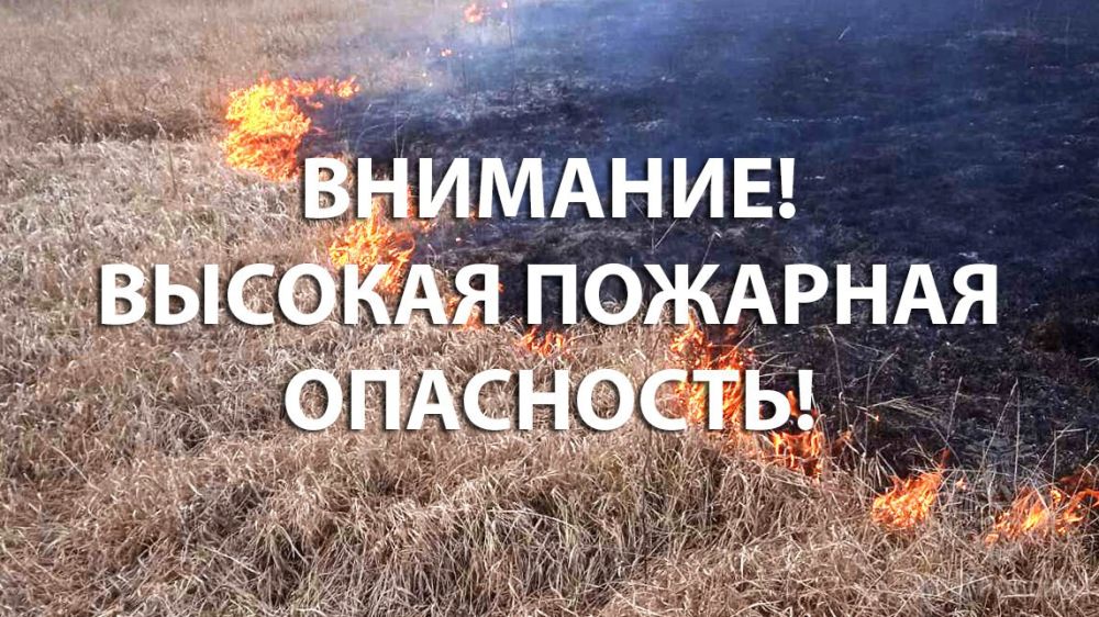 ����� �����: �� ���������� ���������� ����������� ������� ���������������