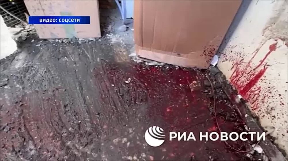 ���� ������ ������ �����, ��������� �������� ������� � ���������� �������� ��������