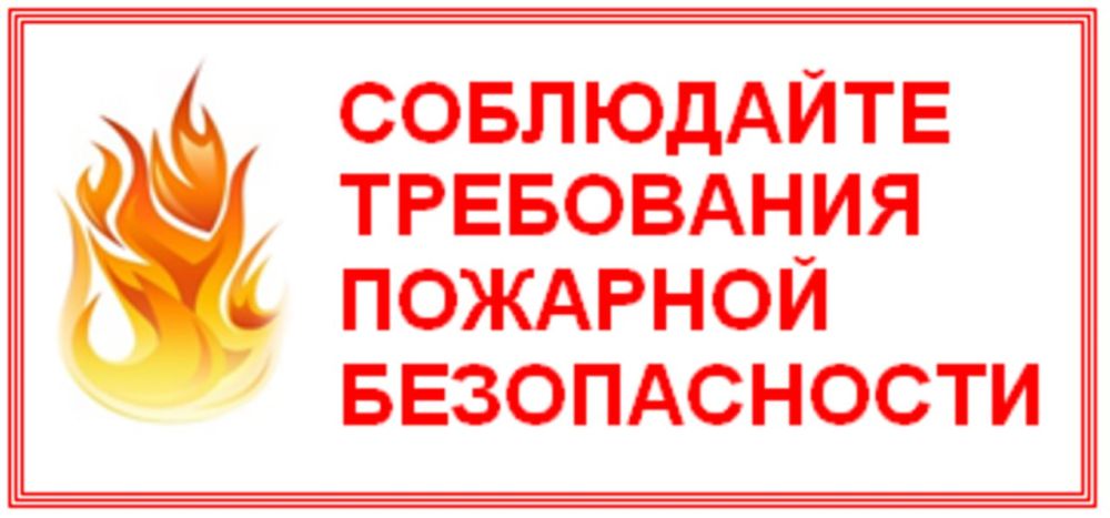 ����� �����: ���������� �������� ������������ ��� ��������� � �����