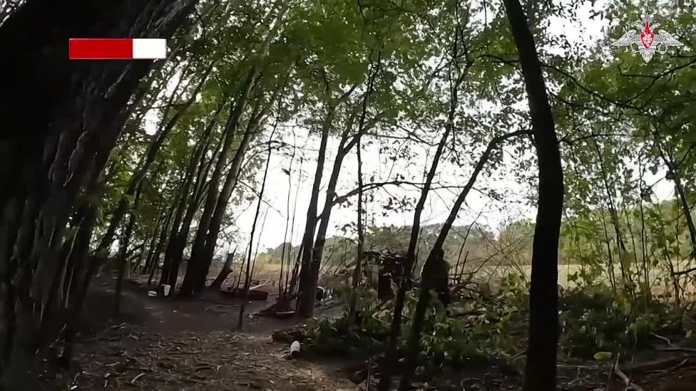 ������ ����� ������ � ������� �����������