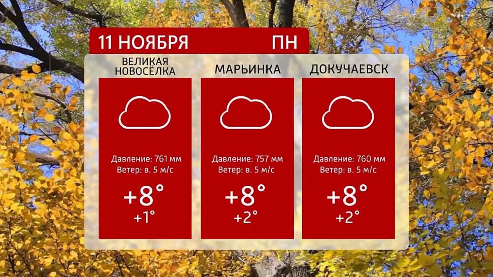 ������ �� ���������� 6�� 11.11.2024�