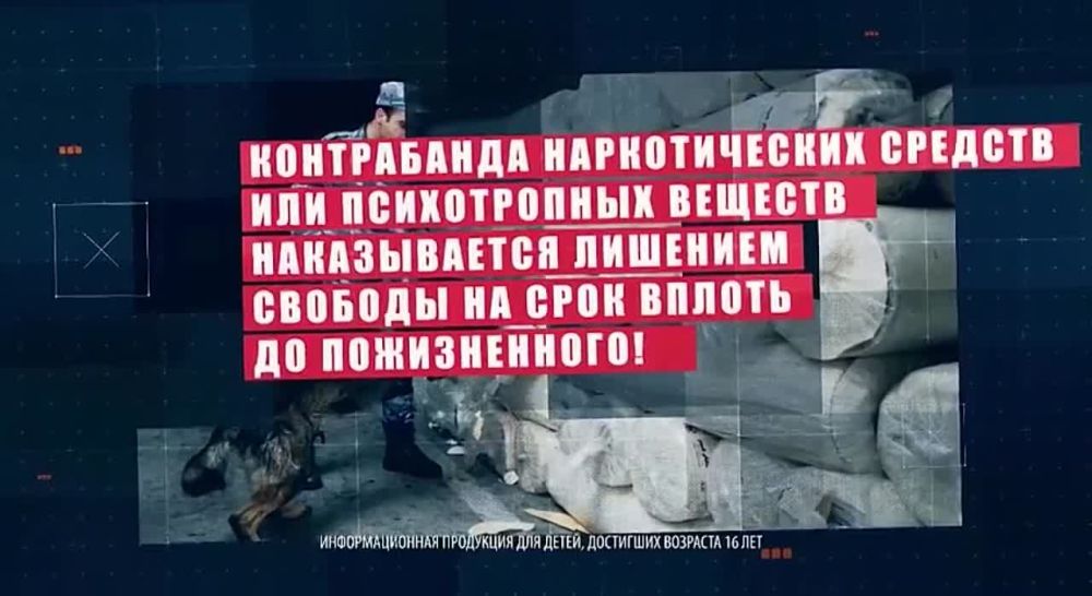 �� ���������� ���������� �������� II ���� ����������� ���������������� �������� ������� ��������� - 2024�