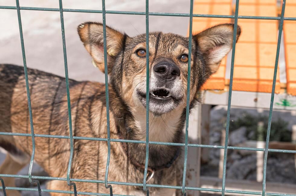 ����������� � ���� ����� ��� ����� � ������� ����� ������� �� 350 ��������