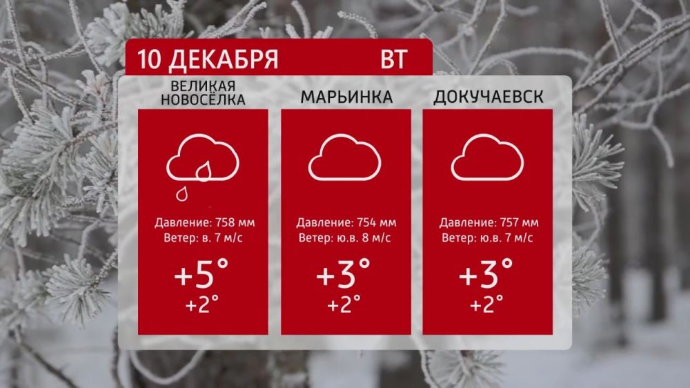 ������ �� ���������� 6�� 10.12.2024�