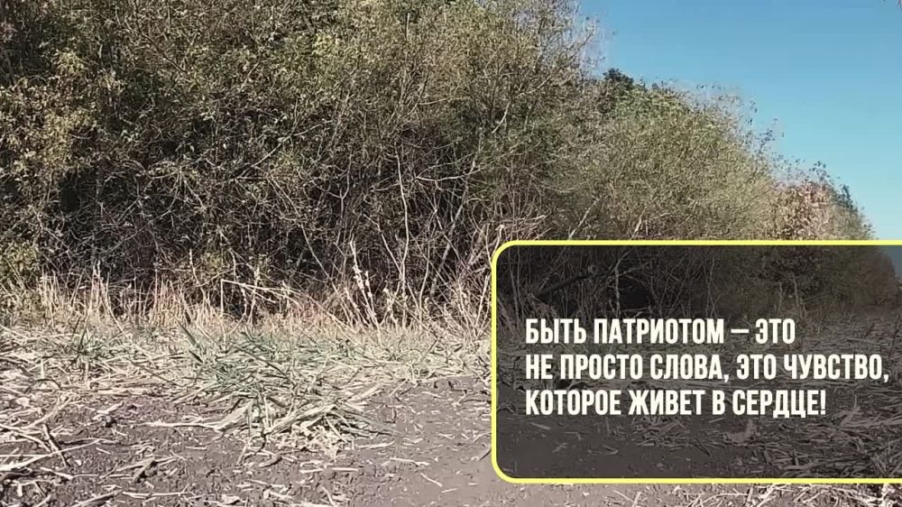 #�������������������. ����������� �� ����� �����������������.�� � �� �������� 117