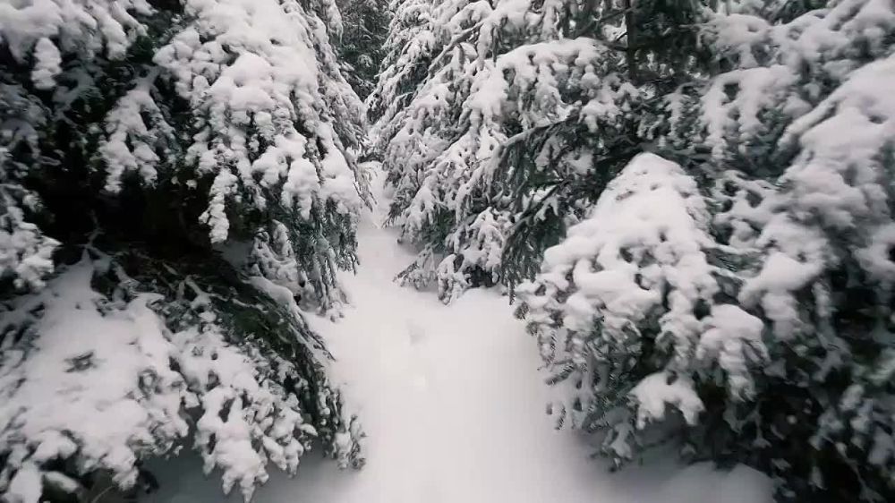������ �� ���������� 6�� 11.01.2025�