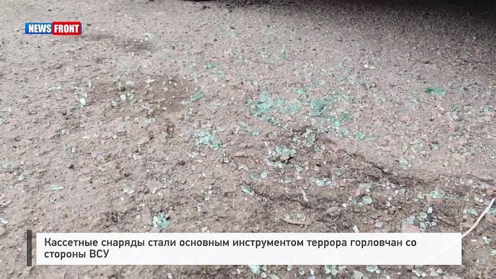 Георгий Медведев: Кассетные типы боеприпасов стали одним из основных инструментов террора горловчан со стороны киевских нацистов