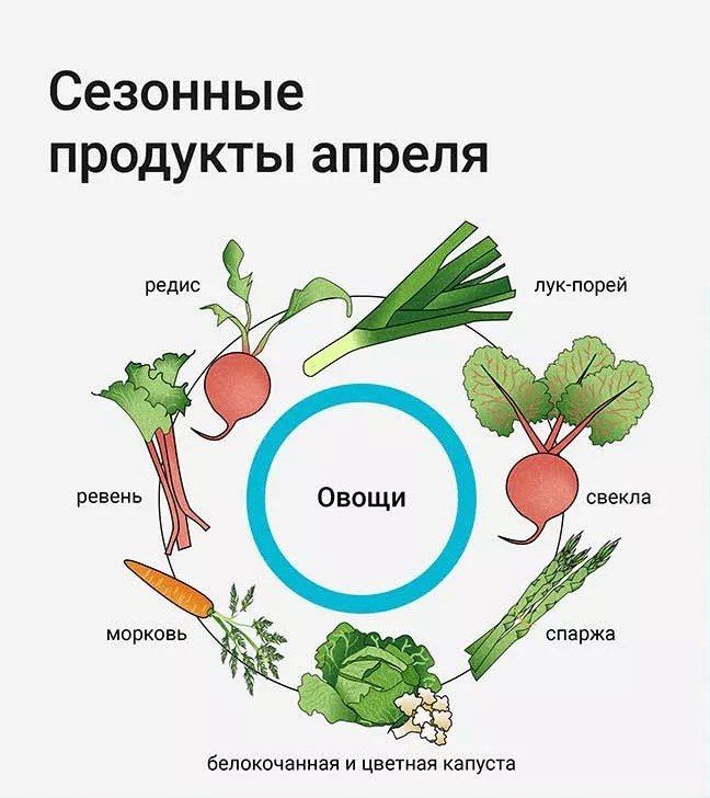 Сезонные продукты апреля. В апреле природа уже практически полностью просыпается ото сна, солнце увеличивает свою активность, даря нам ощущение тепла и уюта