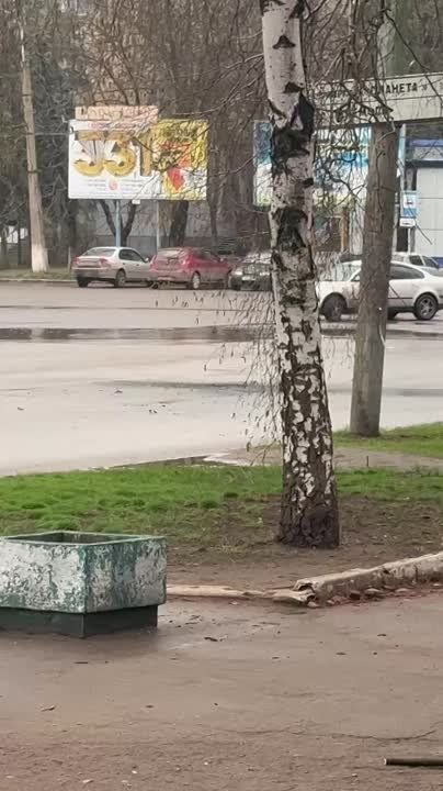  :       ,   
