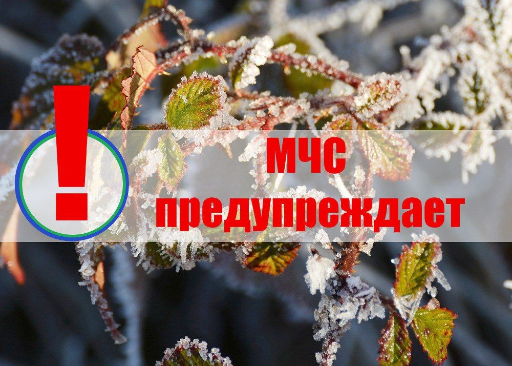 ����� �����: ��� ���: ��������� ��������� �������� �������