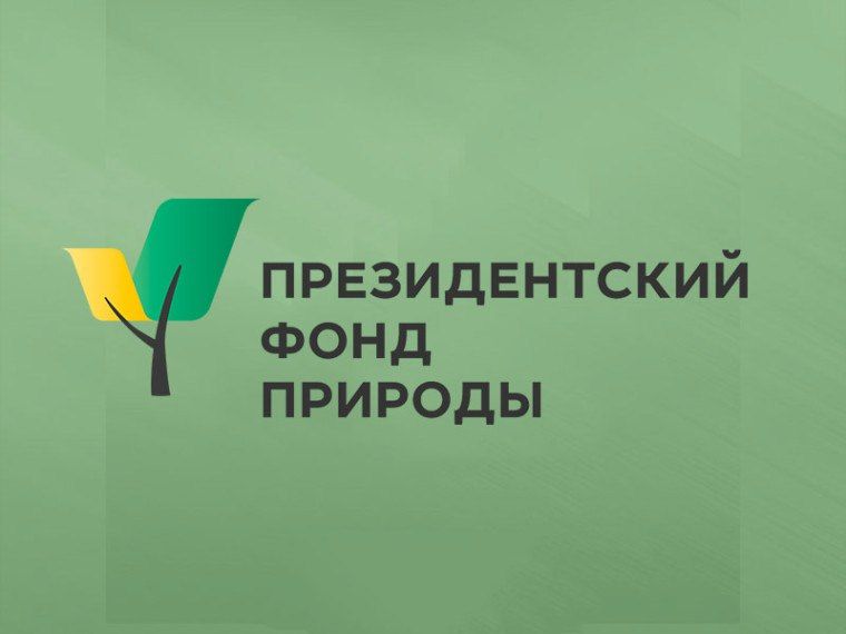 ���������� ���� ���������������� ������� ������� � �������� �� �������������� ������� ���������� ���������� ��������� �� ���������� ������������� � ��������������� �������� � 2025 ����!