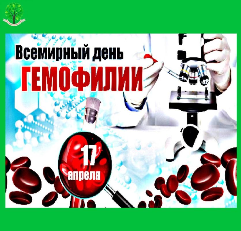 17  -    ( )