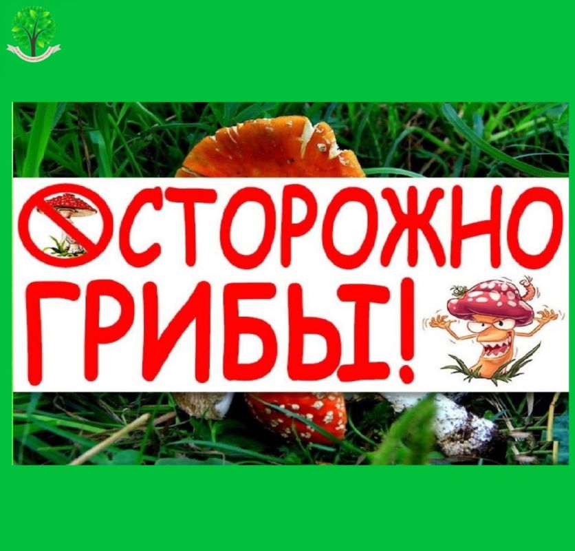���������: ������� �������� ����� ������