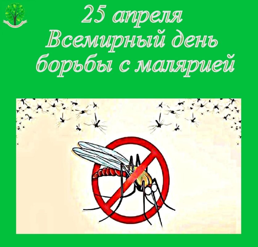 25  -     