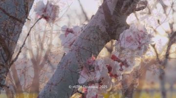 Погода на телеканале 6ТВ 07.05.2025г