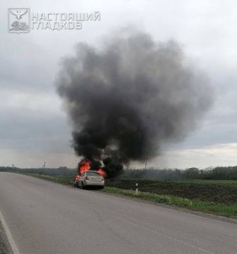 Олег Царёв: Минобороны России не предоставило пока общих данных об атаках ВСУ на регионы России минувшей ночью