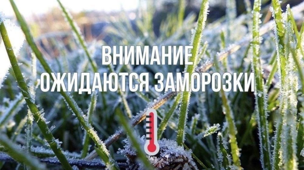 ����� �����: ��� ���: ��������� ���������