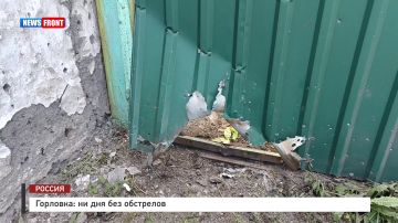 Горловка: ни дня без обстрелов репортаж News Front