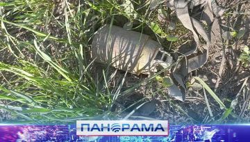 Горловка вновь под обстрелом ВСУ! Ранена мирная жительница, повреждены дома в жилом секторе