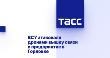 ВСУ атаковали дронами вышку связи и предприятие в Горловке