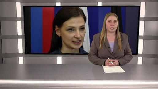Брифинг о работе Межведомственной рабочей группы Штаба обороны ДНР