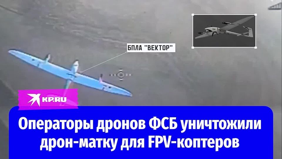    -  FPV-   