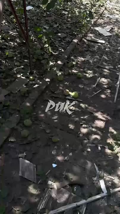  :    