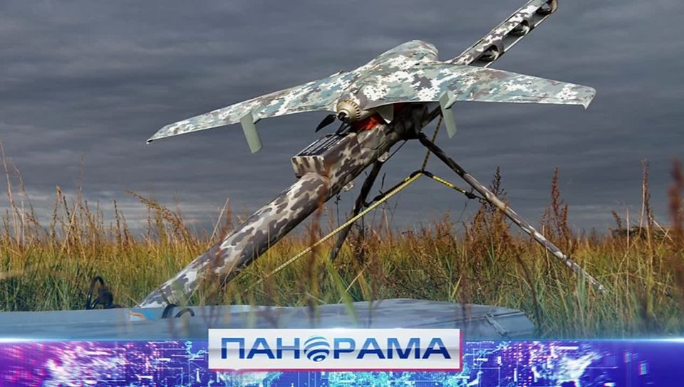   :   ,   