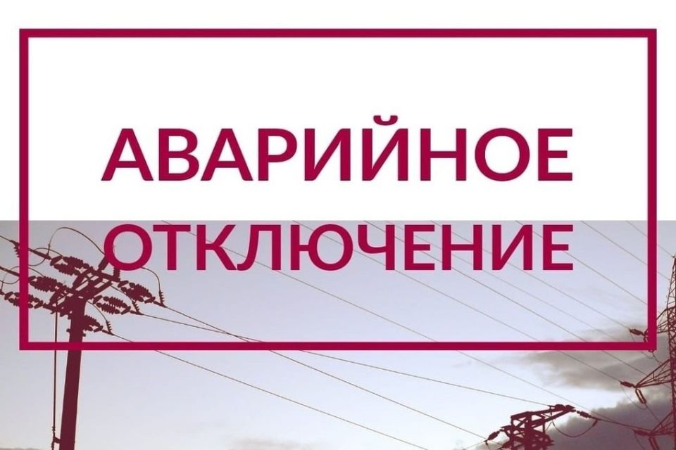  :    ,        , 29 ,  11:00  16:00         ,   
