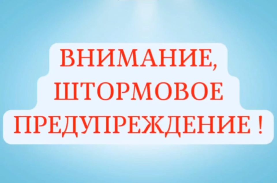  :  :   