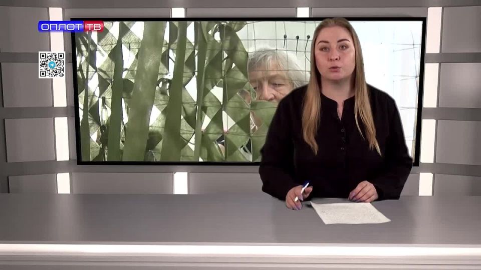     !